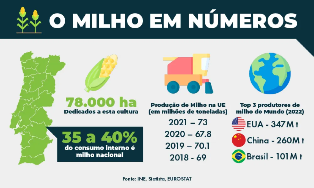 O Milho em números   78 mil hectares dedicados a esta cultura 35 a 40% do consumo interno é milho nacional   Produção de Milho na UE (em milhões de toneladas) 2021 – 73 2020 – 67.8 2019 – 70.1 2018 - 69   Top 3 produtores de milho do Mundo (2022) EUA – 347M t China – 260M t Brasil – 101M t     Fontes: INE, Statista, EUROSTAT